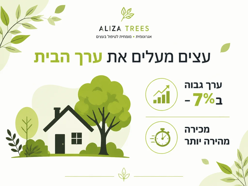 אינפוגרפיקה של עצים וערך הנכס למגורים