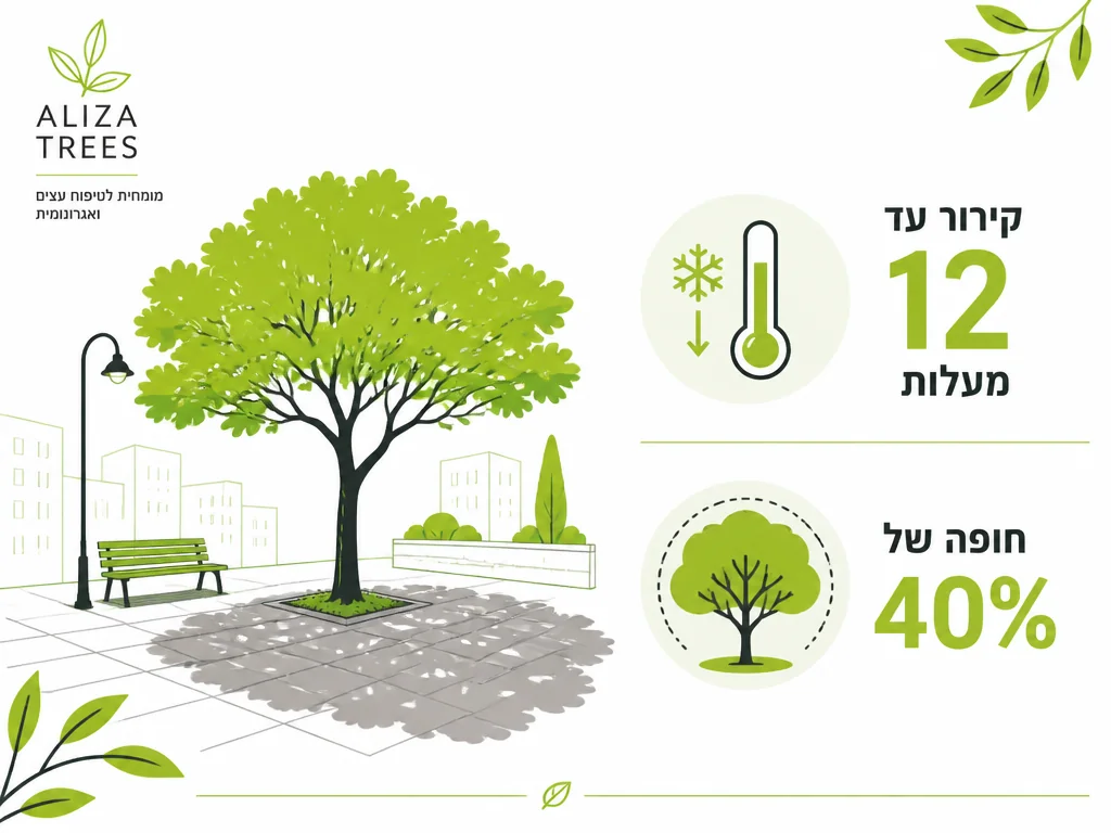 אינפוגרפיקה של קירור עירוני ומיתון חום באמצעות עצים